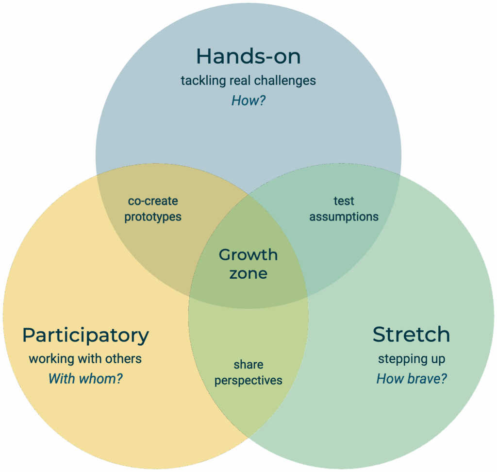Venn diagram titled "Courage catalyzes change". Three overlapping circles: Hands-on (tackling real challenges, How?), Participatory (working with others, With whom?) and Stretch (stepping up, How brave?). Where two circles meet: co-create prototypes, test assumptions, share perspectives. In the middle: growth zone.